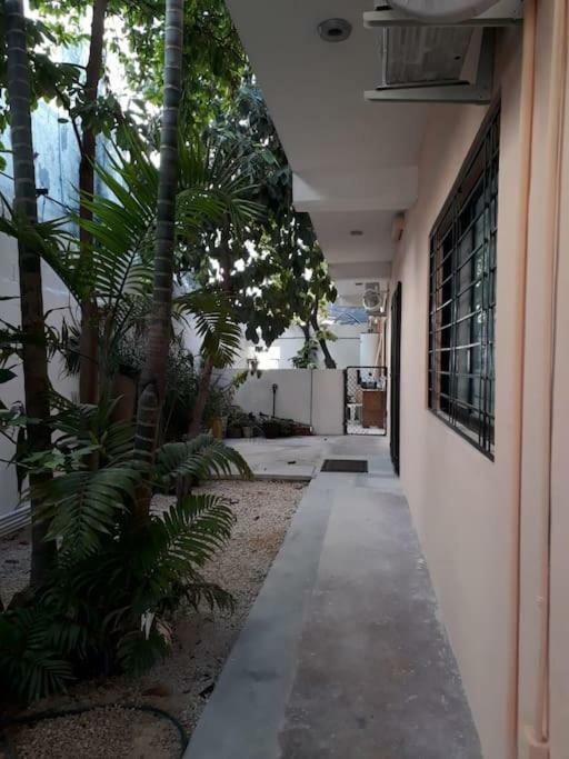 Estudio En Cancun Centro Exteriér fotografie